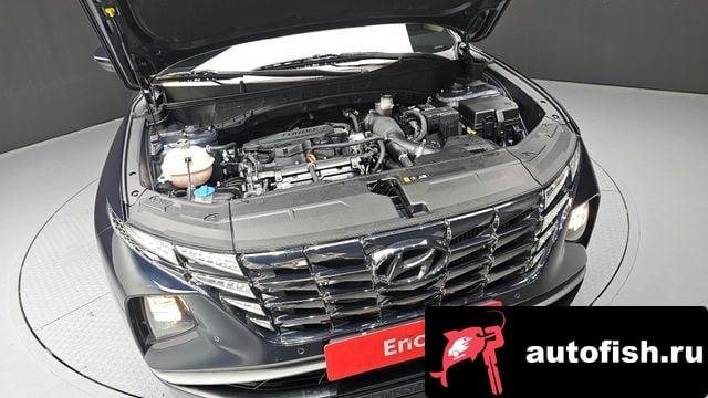 Hyundai Tucson Tucson (NX4) 2023 года - вид 6