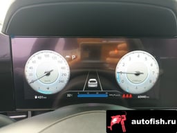 Миниатюра 6