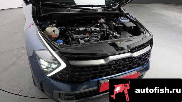 Kia Sportage Sportage 5th Generation 2021 года - вид 6