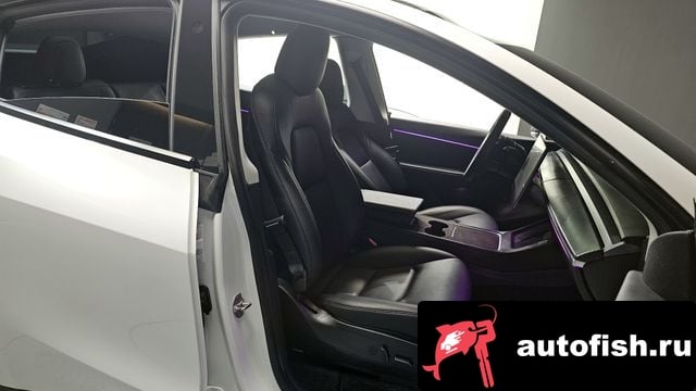 Tesla Model Y Model Y 2021 года - похожие автомобили