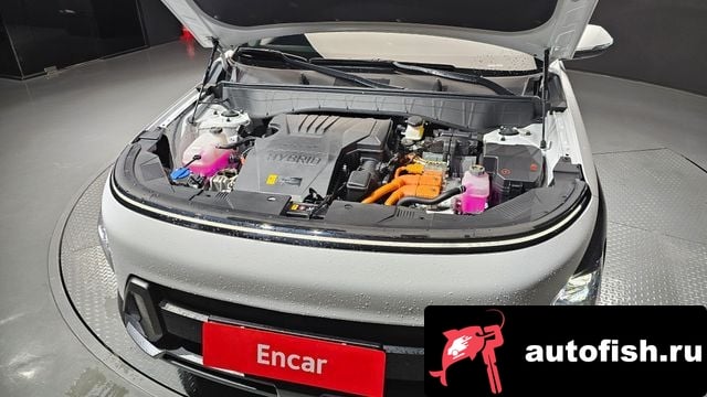 Hyundai Kona Kona Hybrid (SX2) 2024 года - вид 6