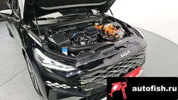 Миниатюра 6