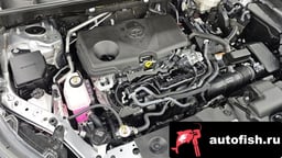 Миниатюра 6