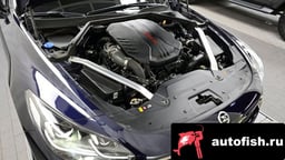 Миниатюра 6