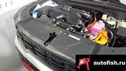 Миниатюра 5