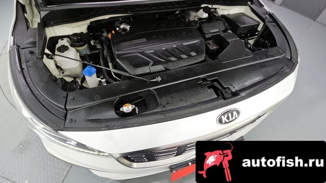 Kia Carnival The New Carnival 2019 года - вид 6