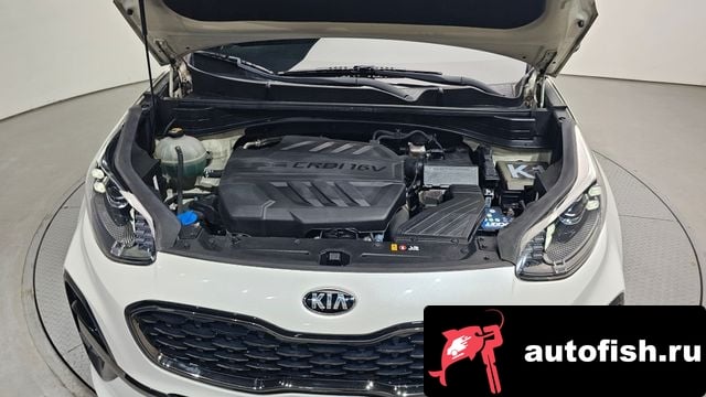 Kia Sportage Sportage The Bold 2018 года - вид 6