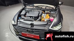 Миниатюра 6