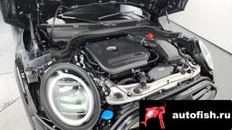 Миниатюра 6