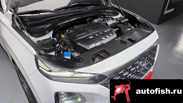 Hyundai Santafe San Tafe TM 2018 года - вид 6