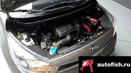 Миниатюра 6