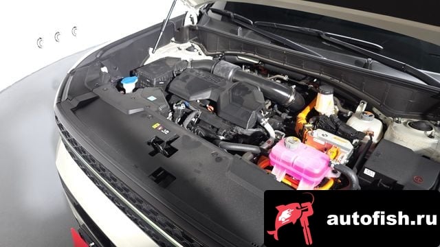 Hyundai Santafe San Tafe (MX5) 2025 года - вид 6