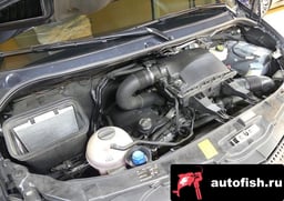 Миниатюра 6