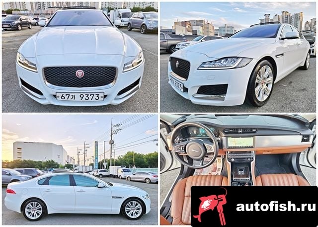 Jaguar XF XF (X260) 2018 года - вид 1