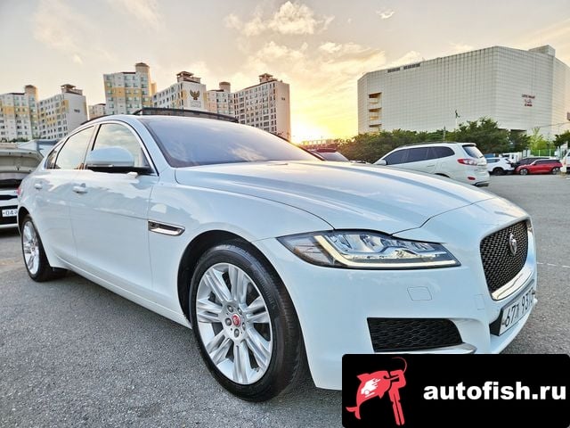 Jaguar XF XF (X260) 2018 года - вид 4
