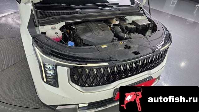 Kia Carnival The New Carnival 4th Generation 2024 года - вид 6