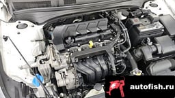 Миниатюра 6