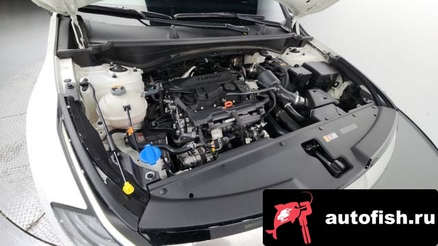 Kia Sportage Sportage 5th Generation 2023 года - вид 6