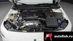 Миниатюра 6