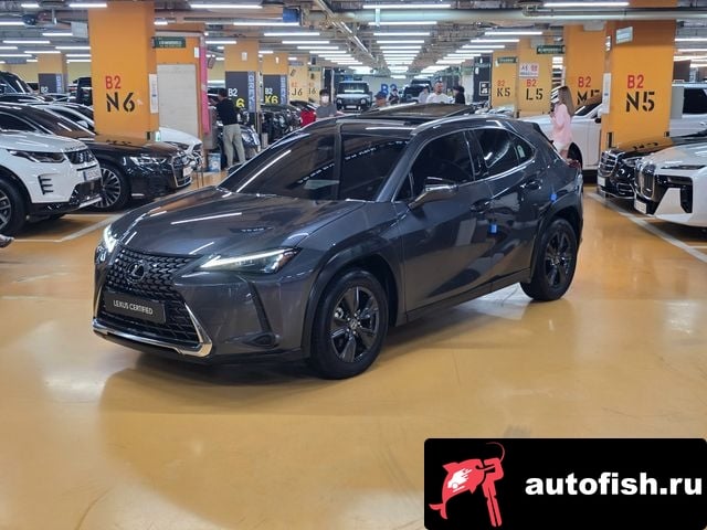 Lexus UX UX300h 2024 года - вид 1