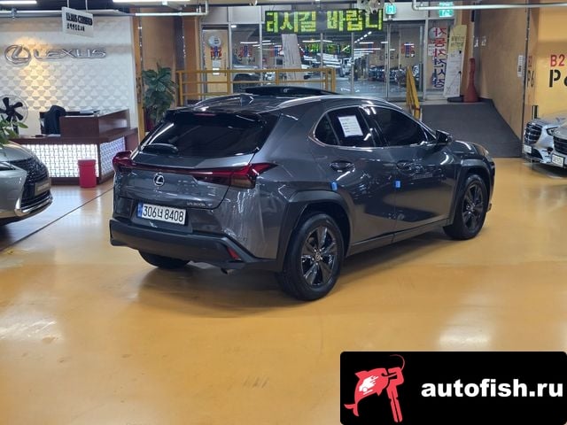 Lexus UX UX300h 2024 года - вид 2