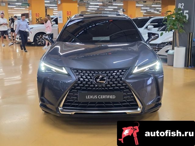 Lexus UX UX300h 2024 года - вид 3