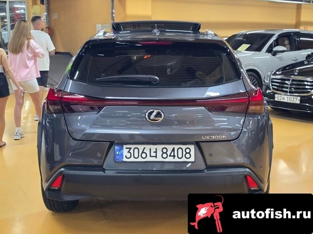 Lexus UX UX300h 2024 года - вид 4
