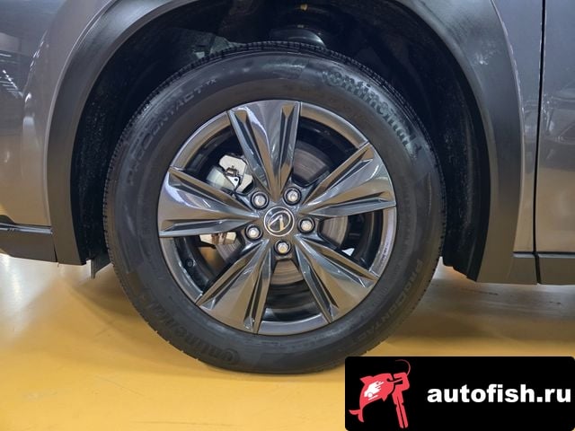 Lexus UX UX300h 2024 года - вид 5