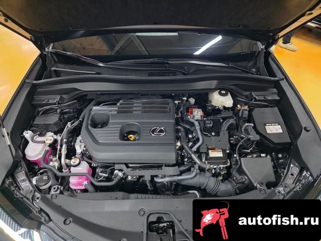 Lexus UX UX300h 2024 года - похожие автомобили