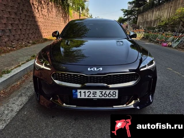 Kia Stinger Stinger Meister 2021 года - похожие автомобили