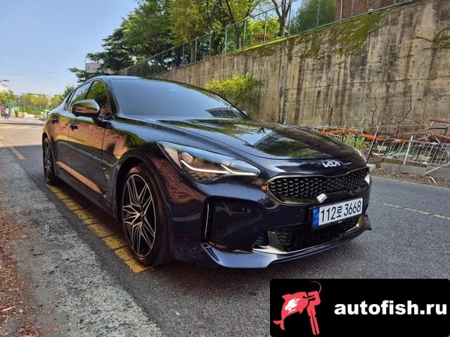 Kia Stinger Stinger Meister 2021 года - вид 3