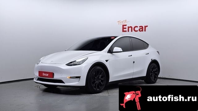 Tesla Model Y Model Y 2021 года - вид 1