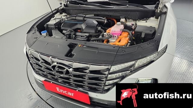 Hyundai Tucson Tucson Hybrid (NX4) 2021 года - вид 6
