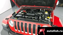 Миниатюра 6