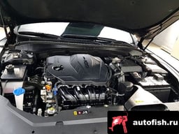 Миниатюра 6