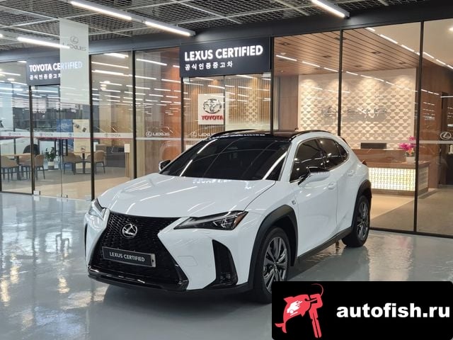 Lexus UX UX300h 2024 года - автомобиль из Южной Кореи