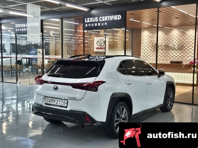 Lexus UX UX300h 2024 года - вид 2