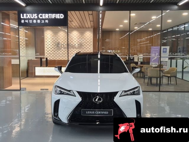Lexus UX UX300h 2024 года - вид 3