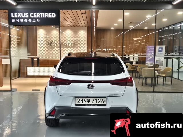 Lexus UX UX300h 2024 года - вид 4
