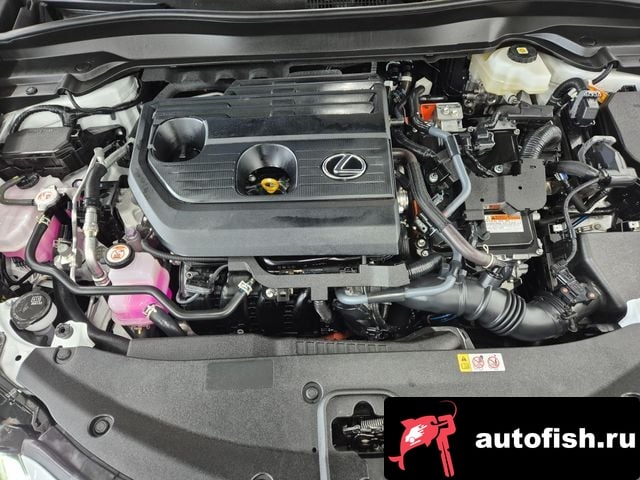 Lexus UX UX300h 2024 года - вид 6