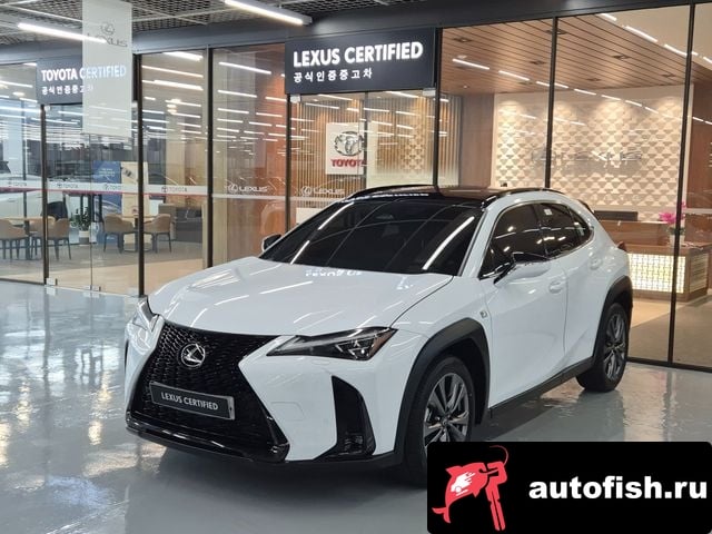 Lexus UX UX300h 2024 года - вид 1