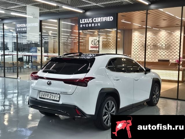 Lexus UX UX300h 2024 года - вид 2