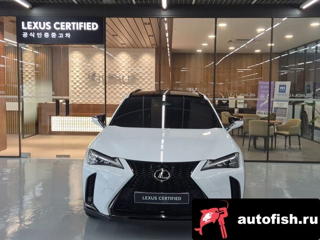 Lexus UX UX300h 2024 года - вид 3