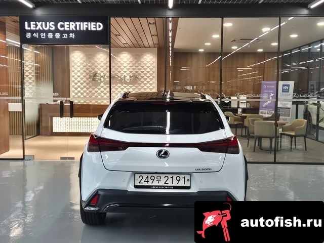 Lexus UX UX300h 2024 года - вид 4