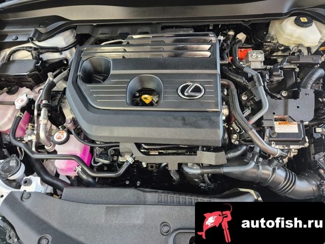 Lexus UX UX300h 2024 года - вид 6