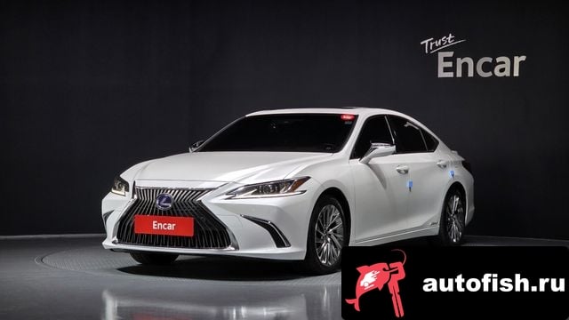 Lexus ES ES300h 7th generation 2020 года - вид 1