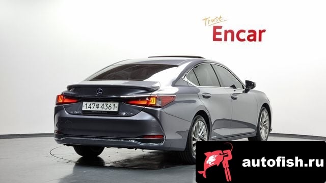 Lexus ES ES300h 7th generation 2020 года - вид 2