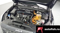 Миниатюра 6