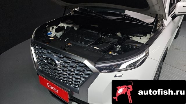 Hyundai Palisade Palisade 2020 года - вид 6