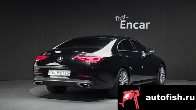 Mercedes-Benz CLS-Class CLS-Class C257 2019 года - вид 2